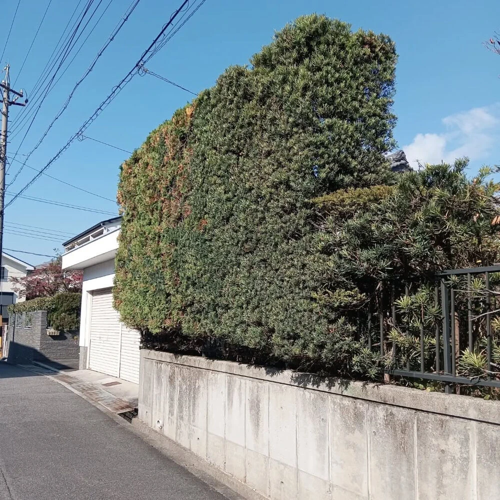 ブログ画像