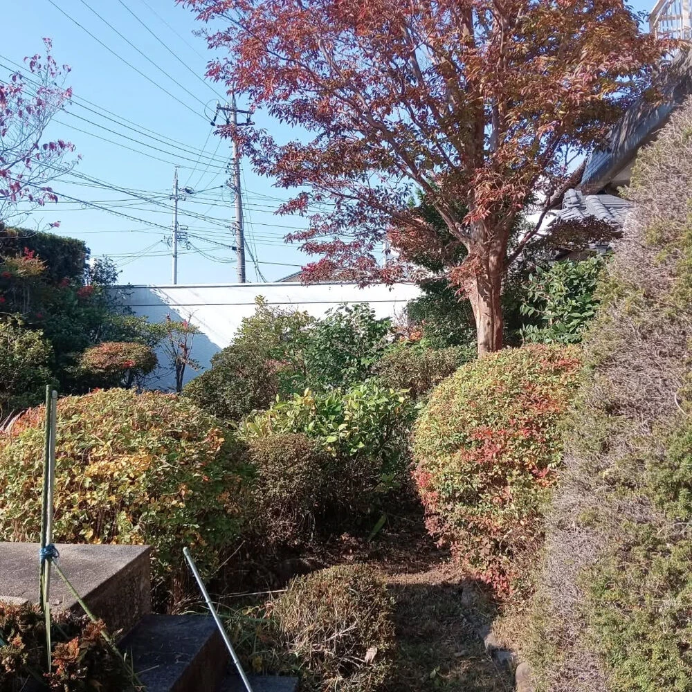 ブログ画像