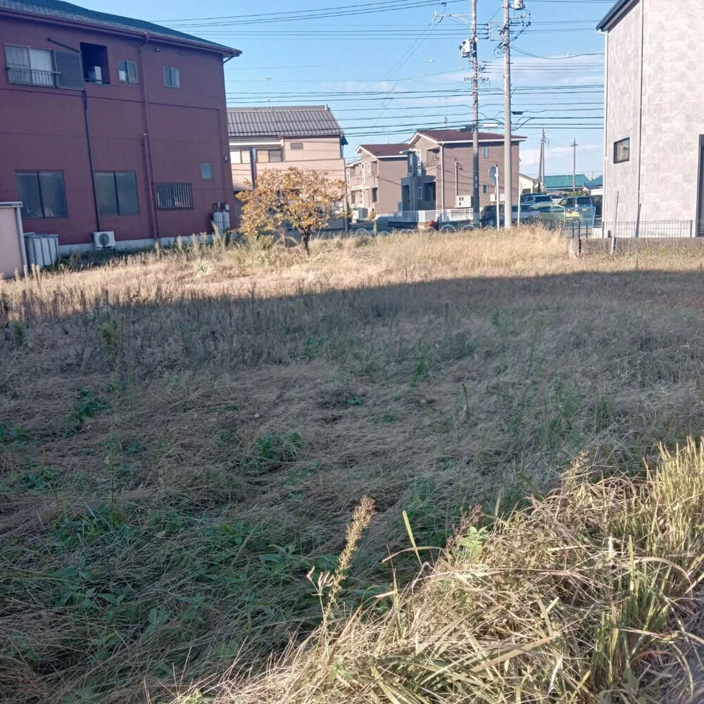 ブログ画像