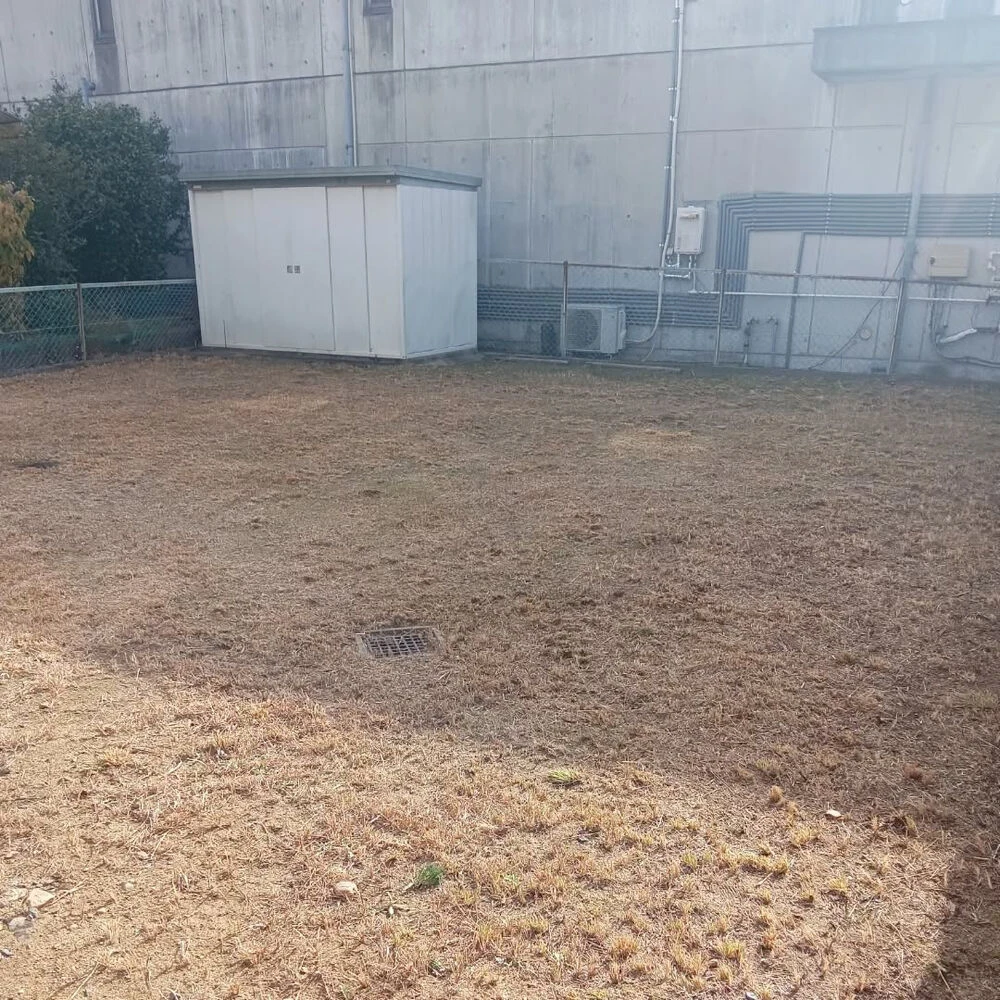 ブログ画像