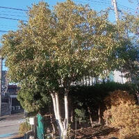 ブログ画像