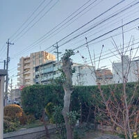 ブログ画像