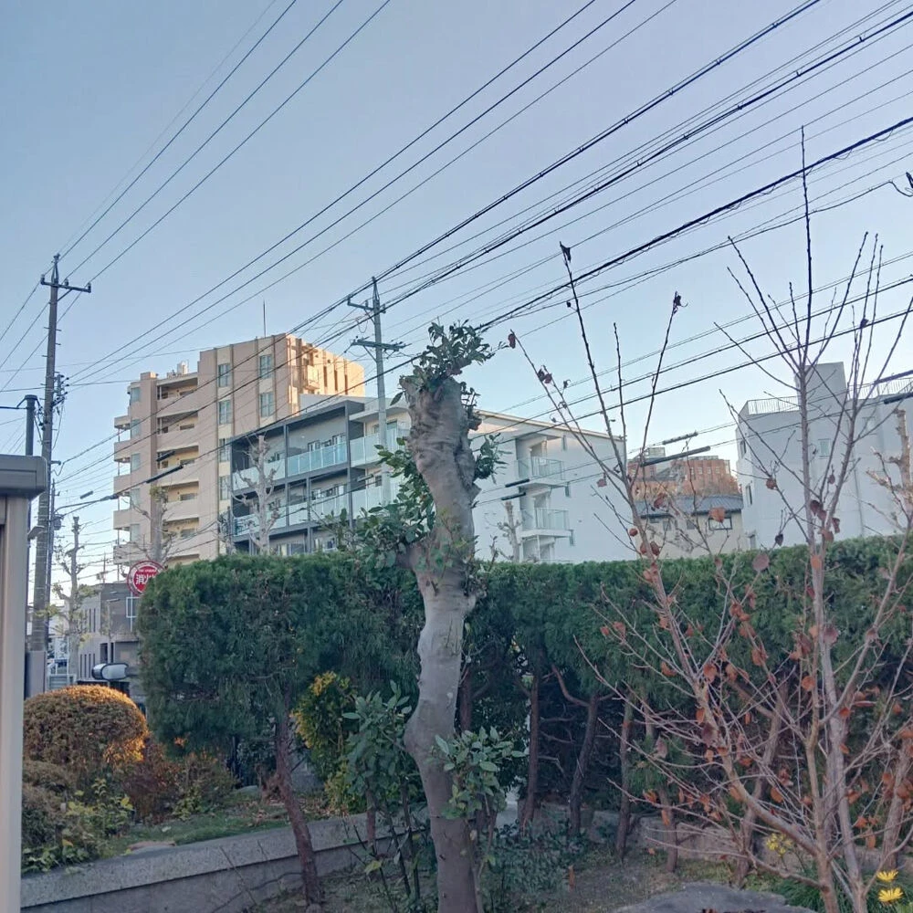 ブログ画像