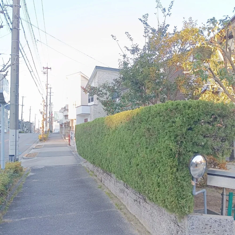 ブログ画像