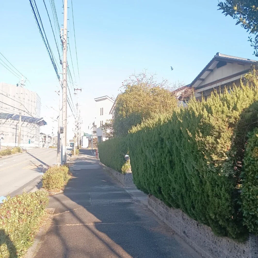 ブログ画像