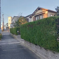 ブログ画像