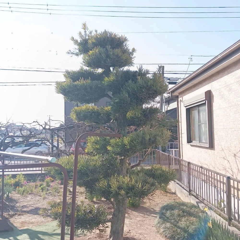 ブログ画像