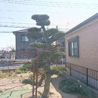 ブログ画像