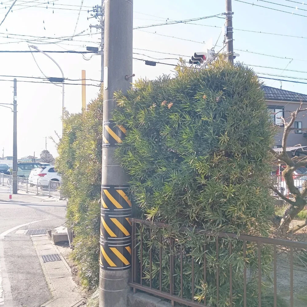 ブログ画像