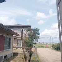 ブログ画像