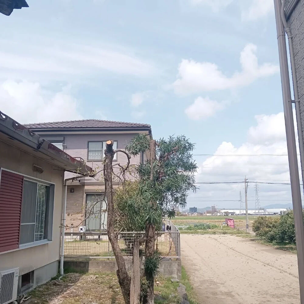 ブログ画像