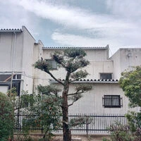 ブログ画像