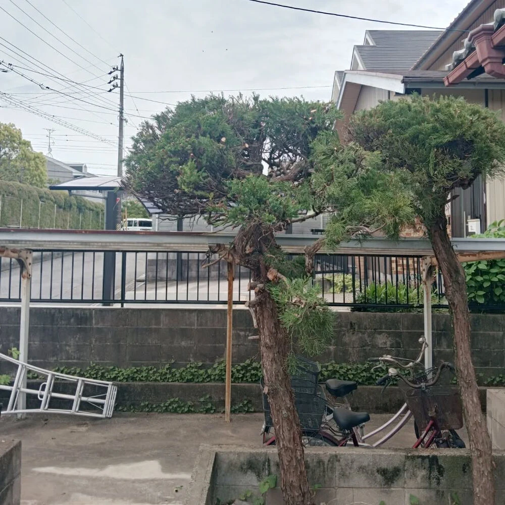 ブログ画像