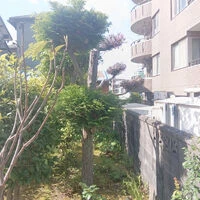 ブログ画像