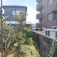 ブログ画像