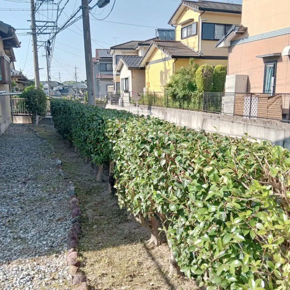 ブログ画像