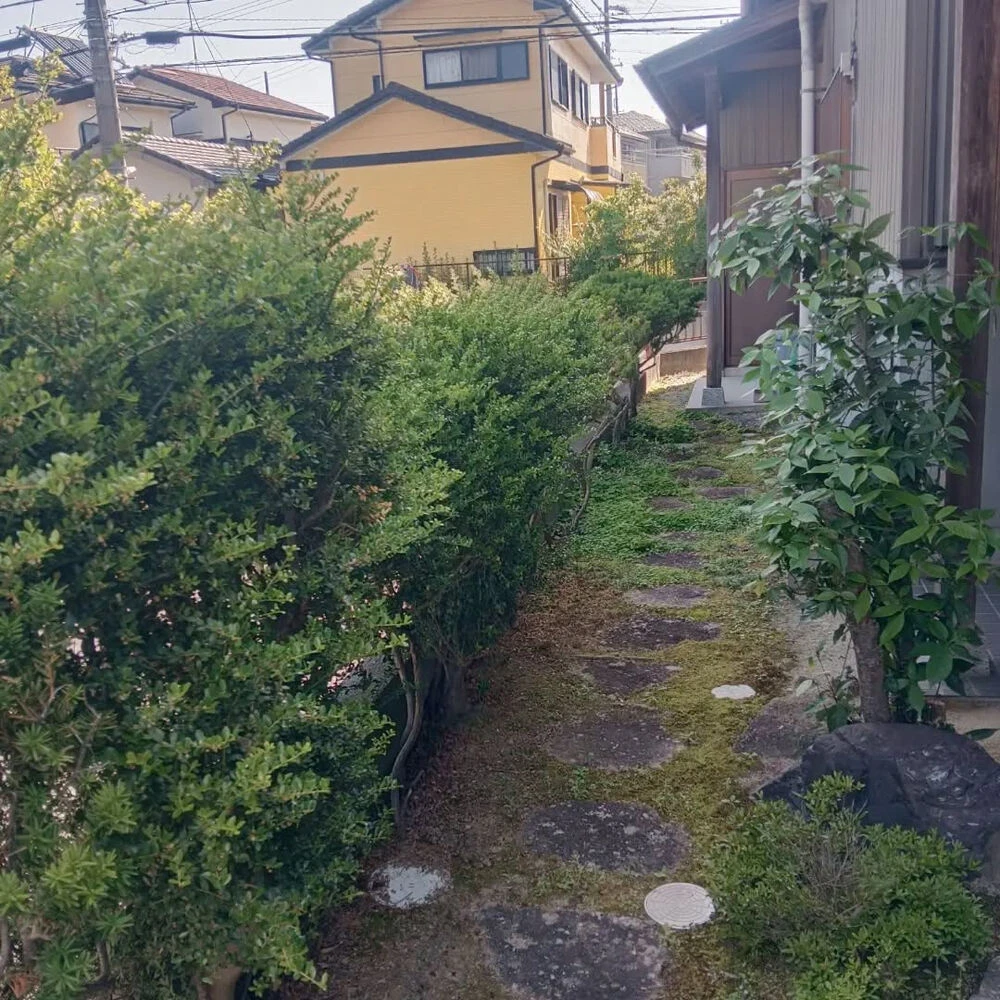ブログ画像