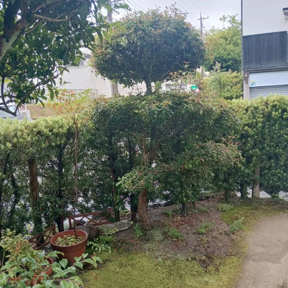 ブログ画像