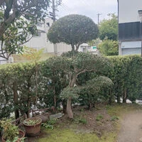 ブログ画像
