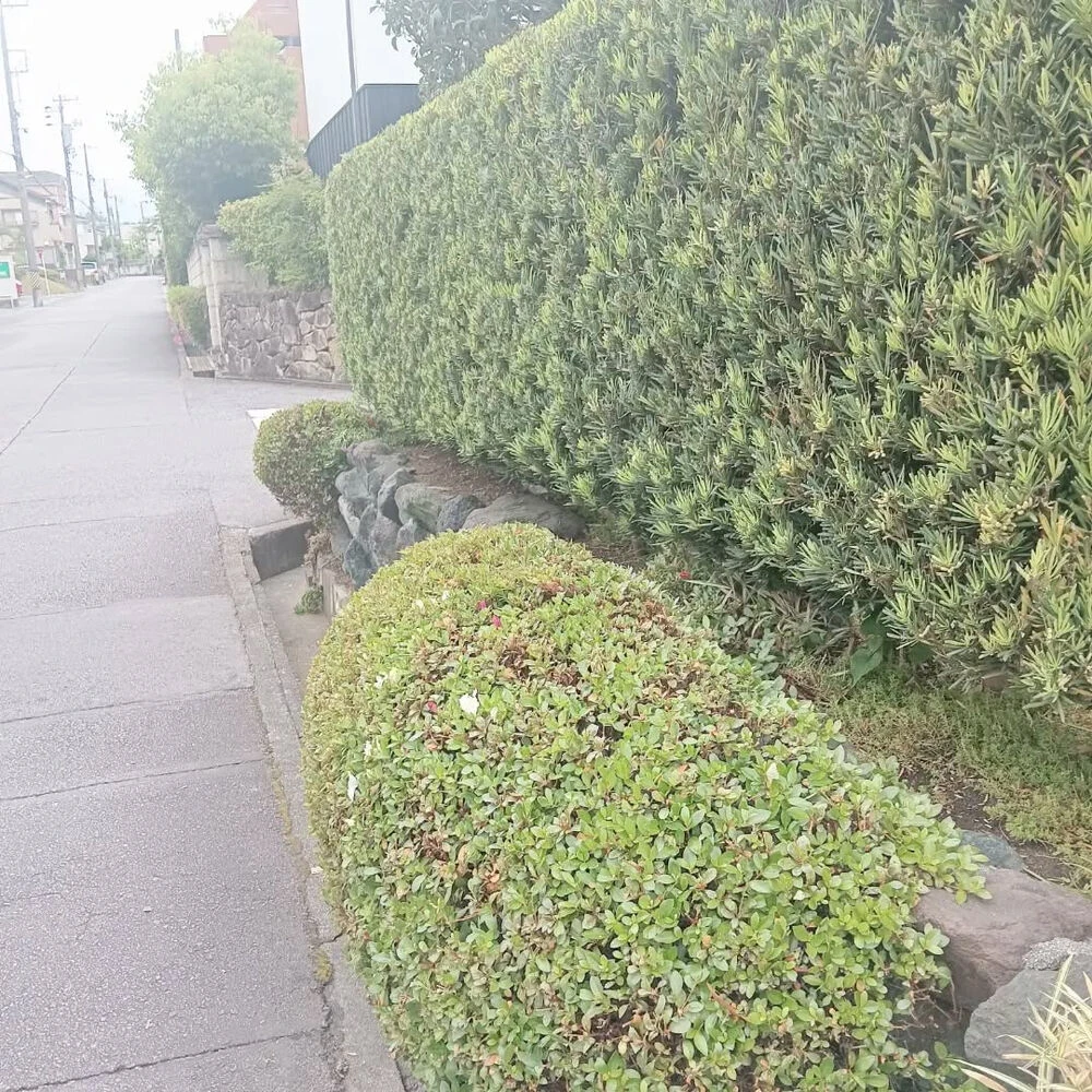 ブログ画像