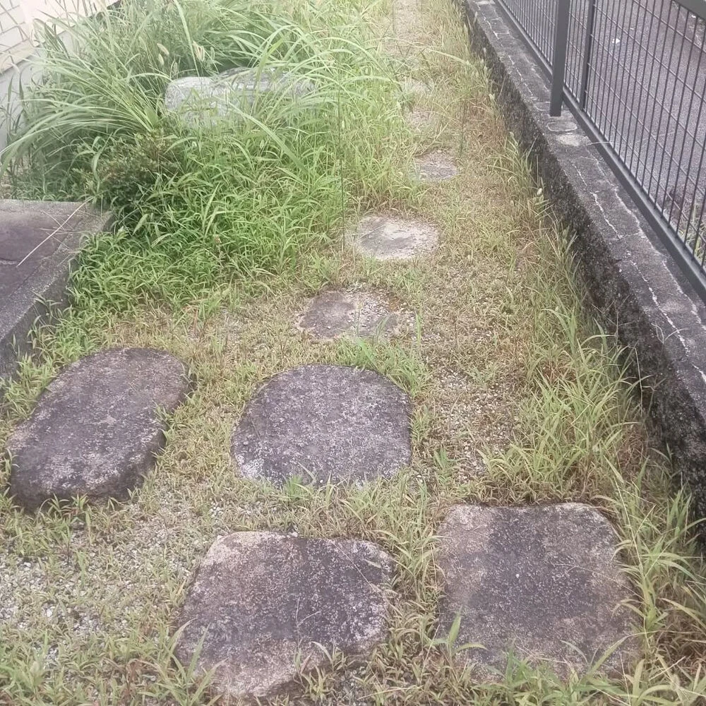 ブログ画像