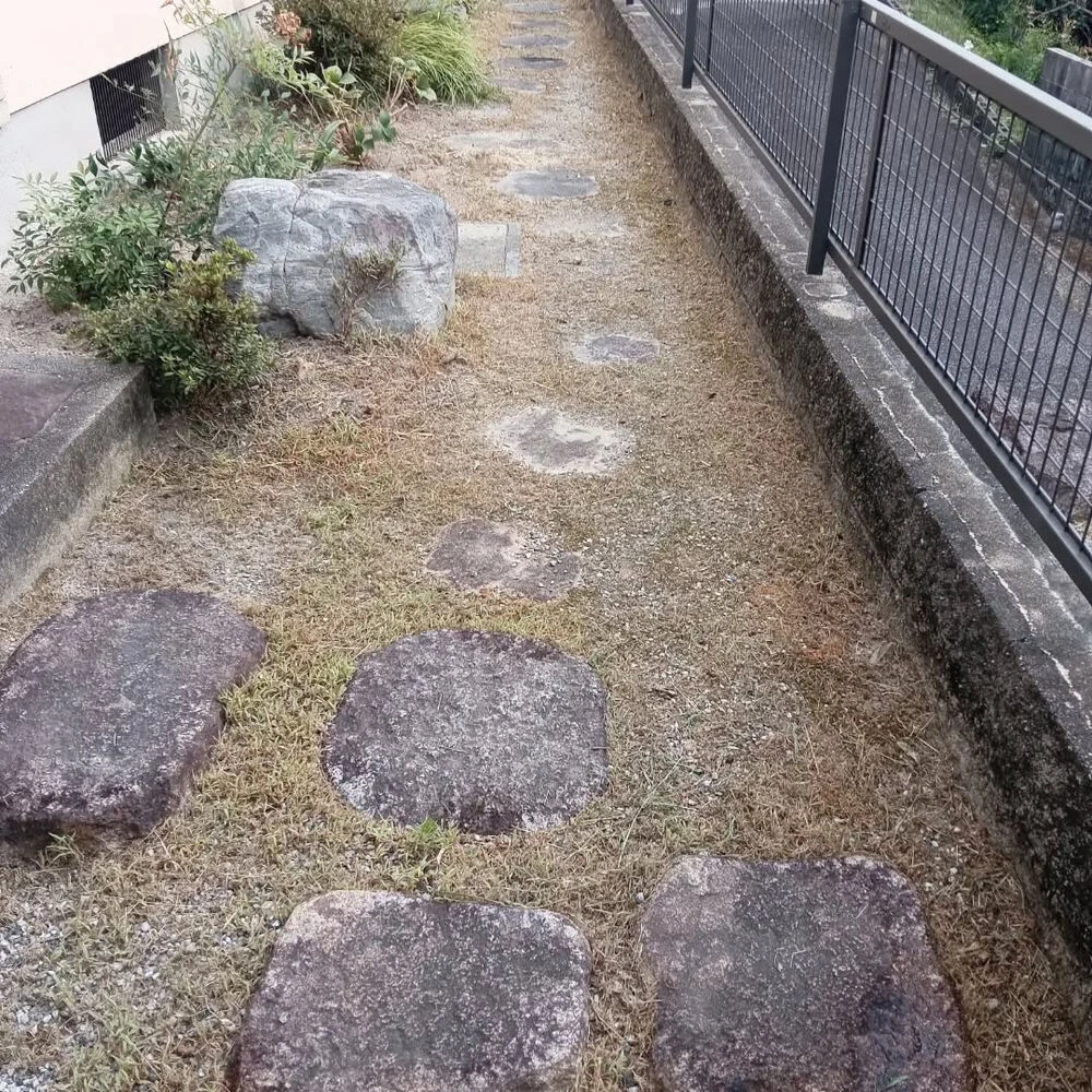 ブログ画像