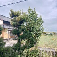 ブログ画像