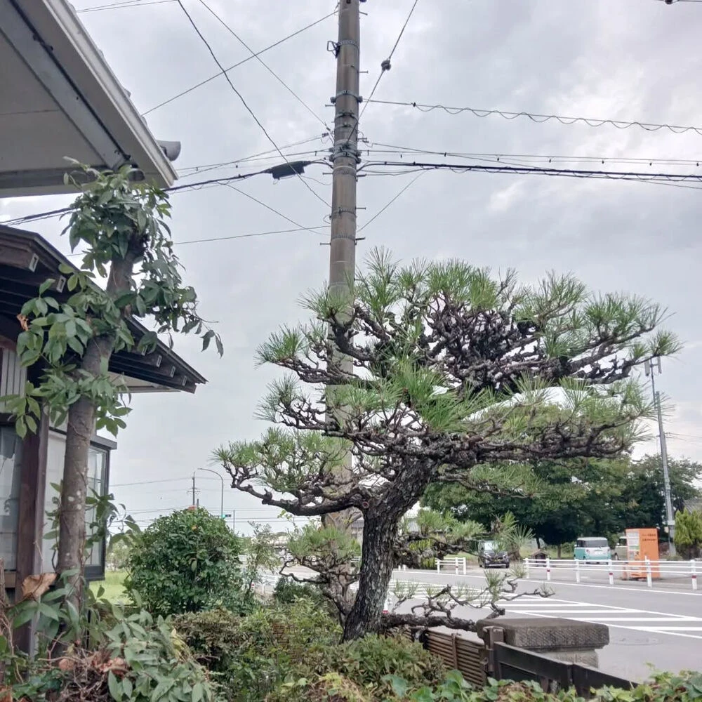 ブログ画像
