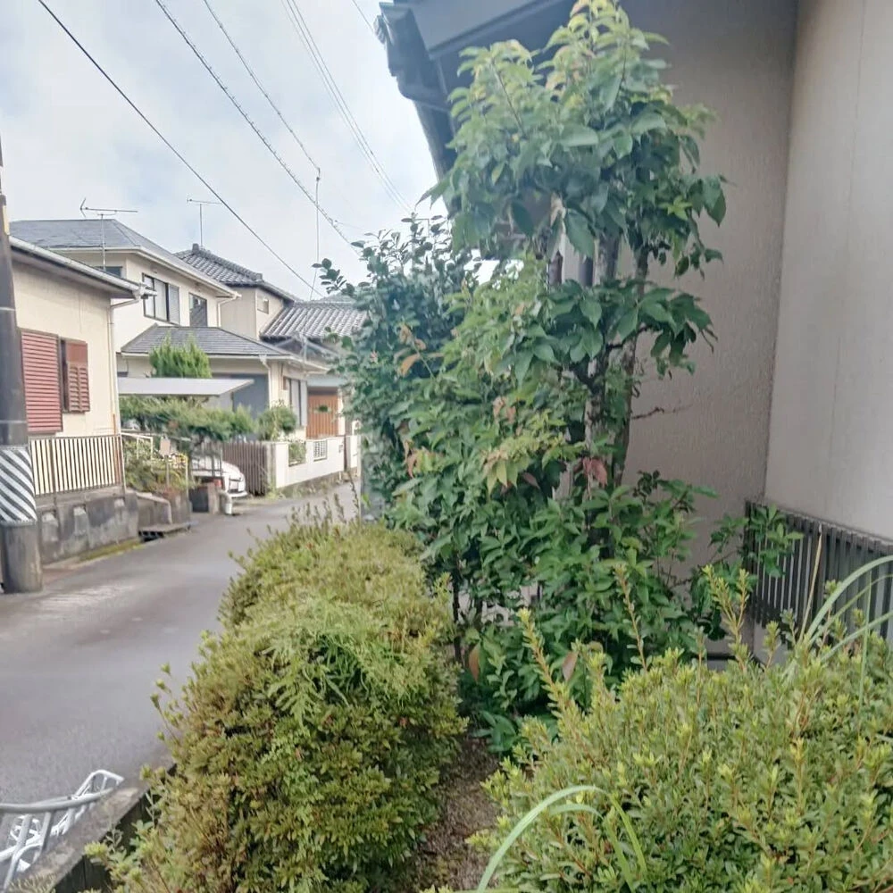 ブログ画像