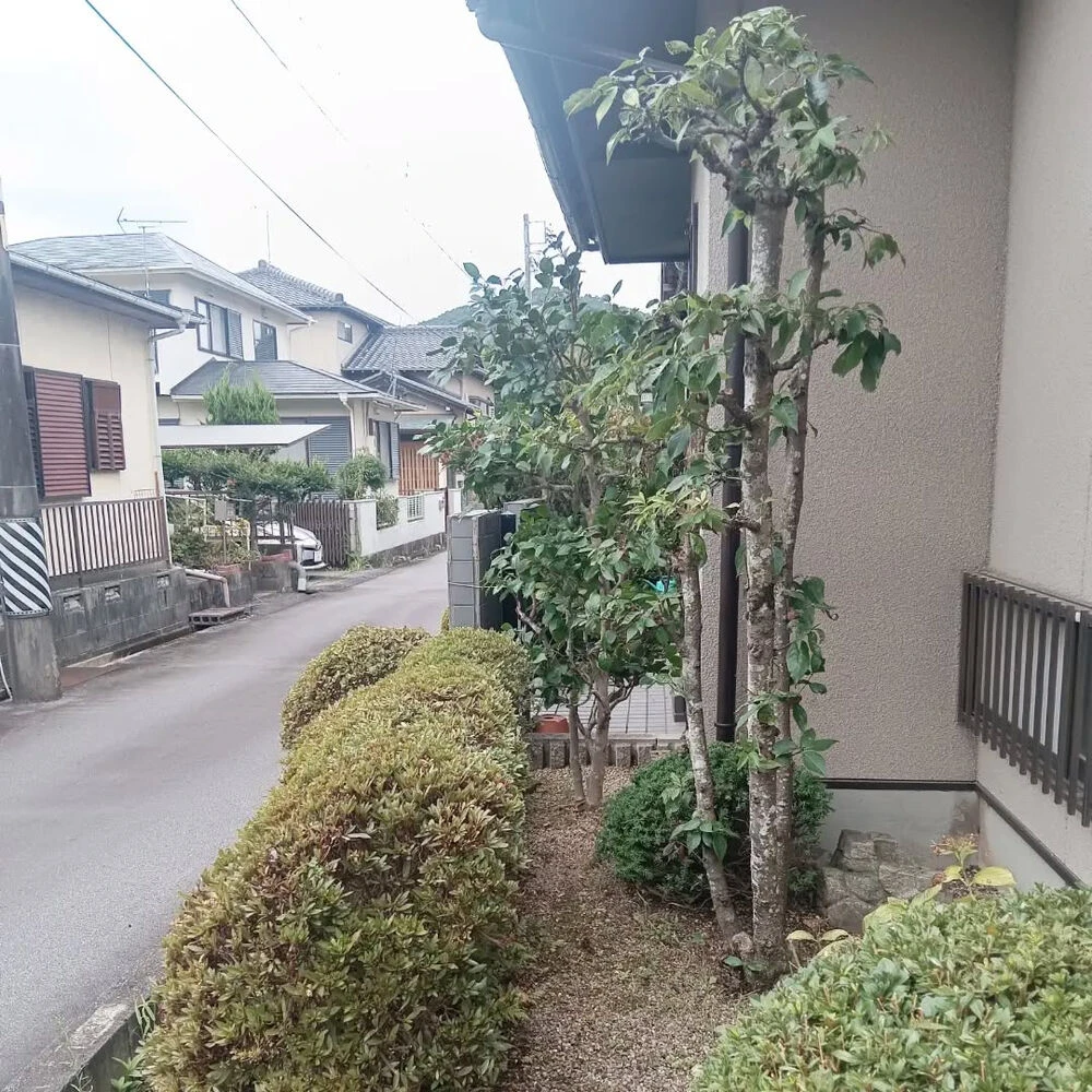 ブログ画像