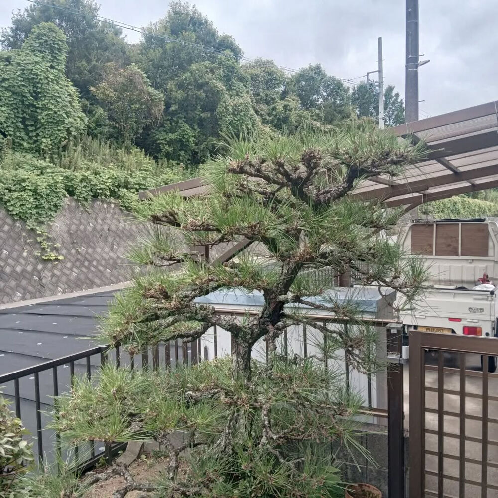 ブログ画像