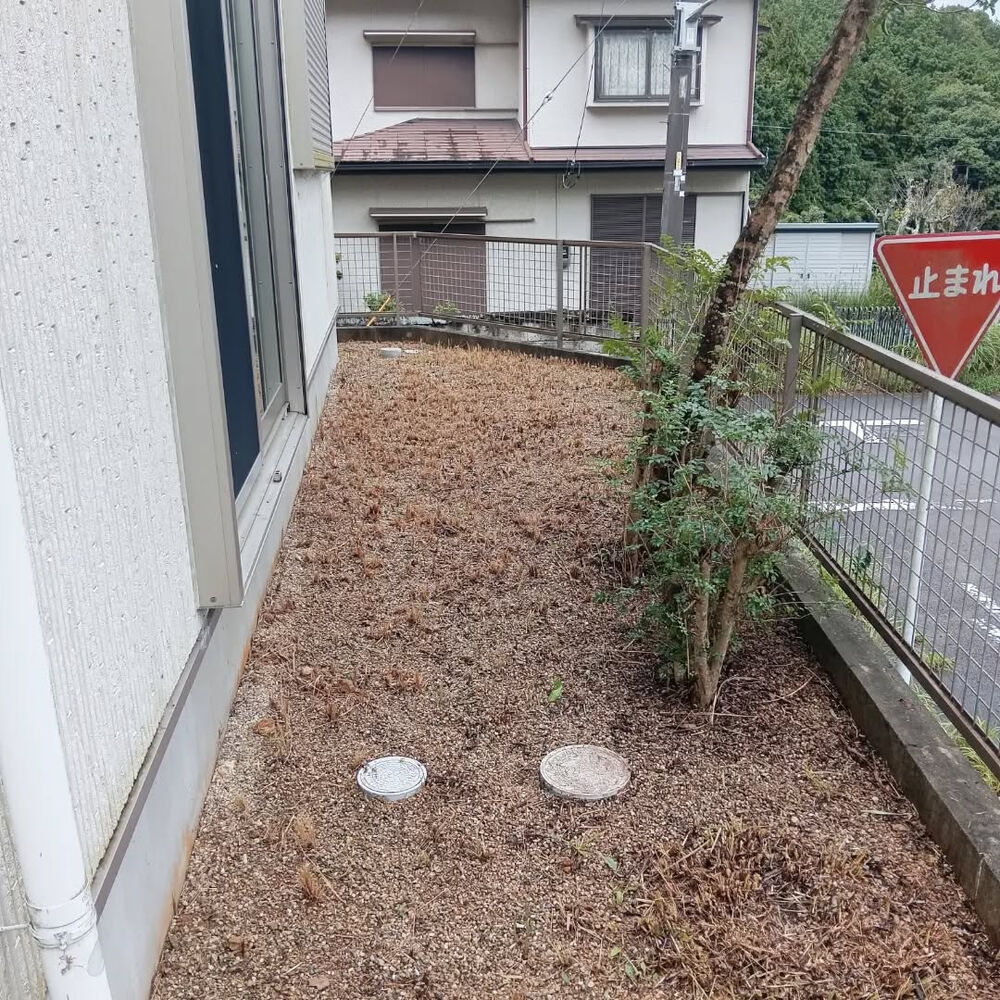 ブログ画像