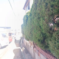 ブログ画像