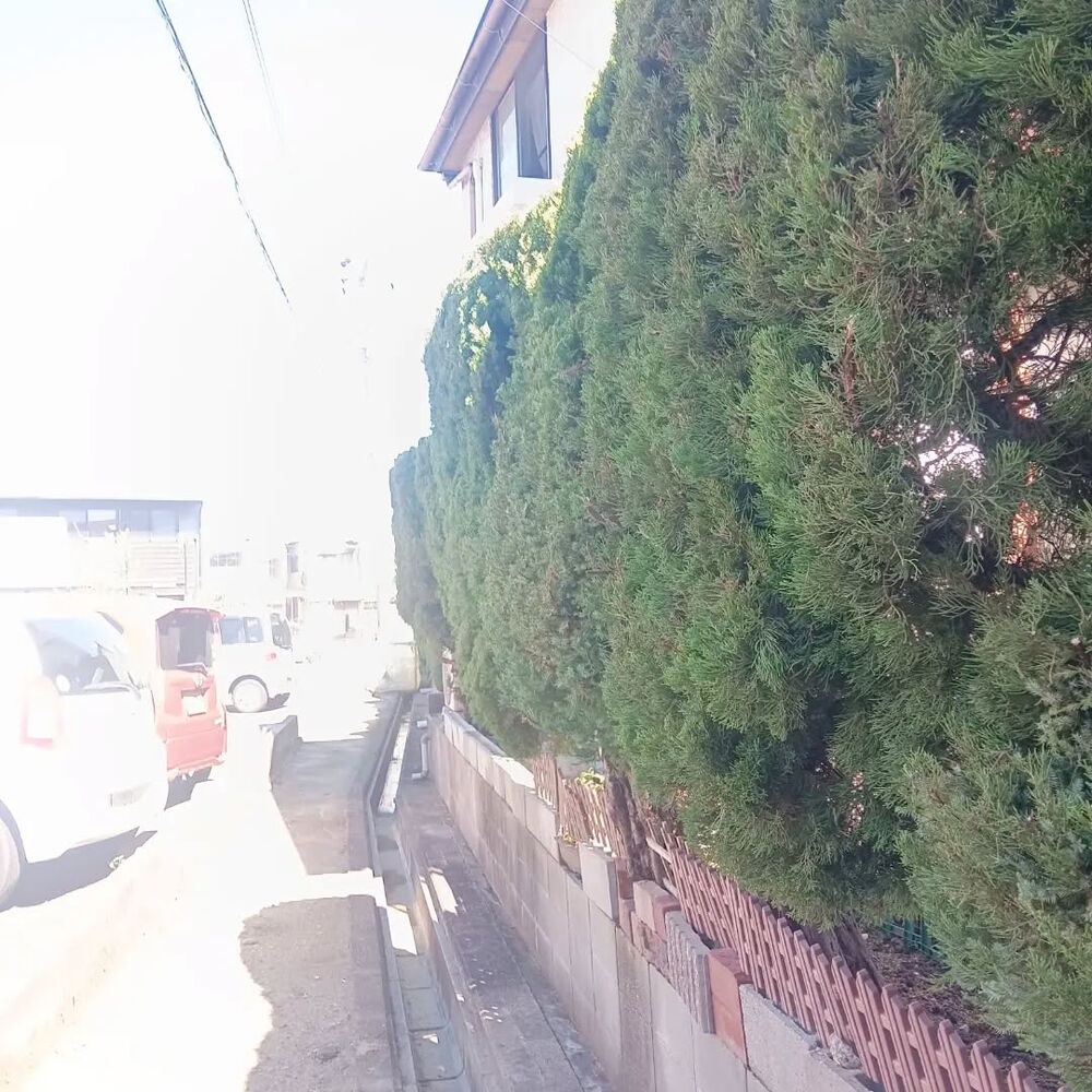 ブログ画像