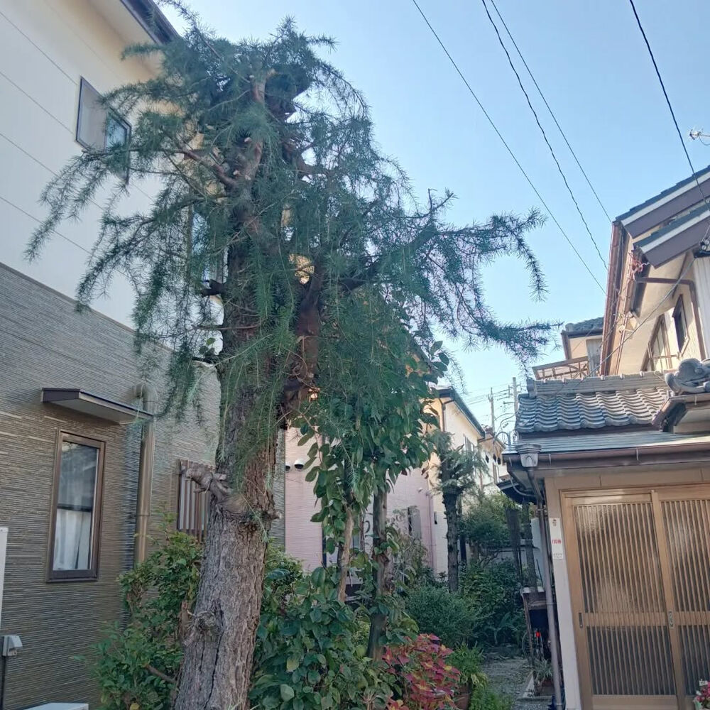 ブログ画像