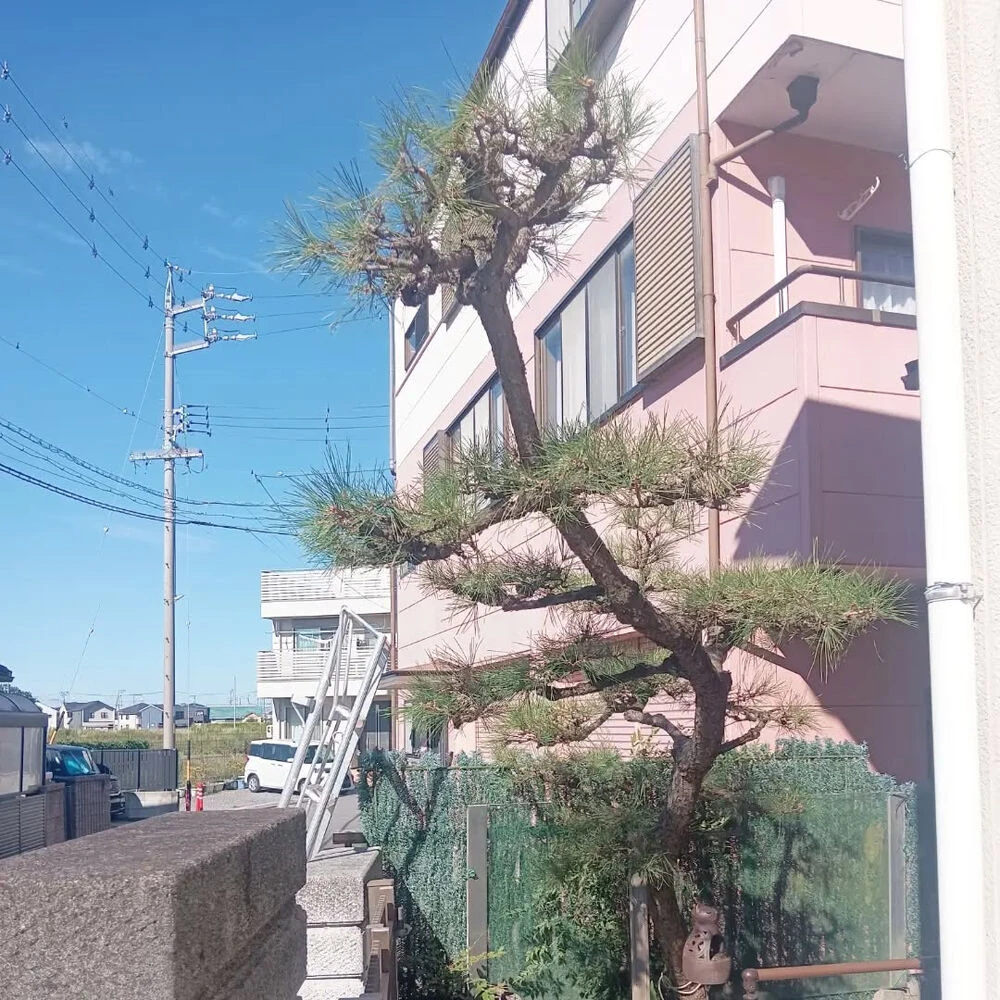ブログ画像